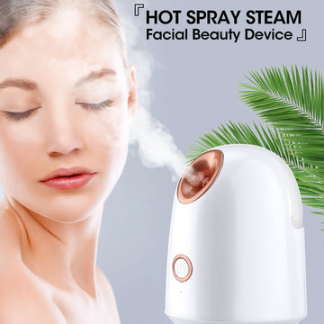 Ionic Facial Steamer